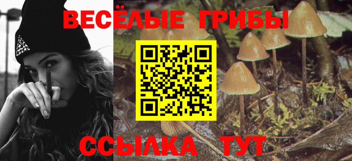 Псилоцибиновые грибы мухоморы Воронеж