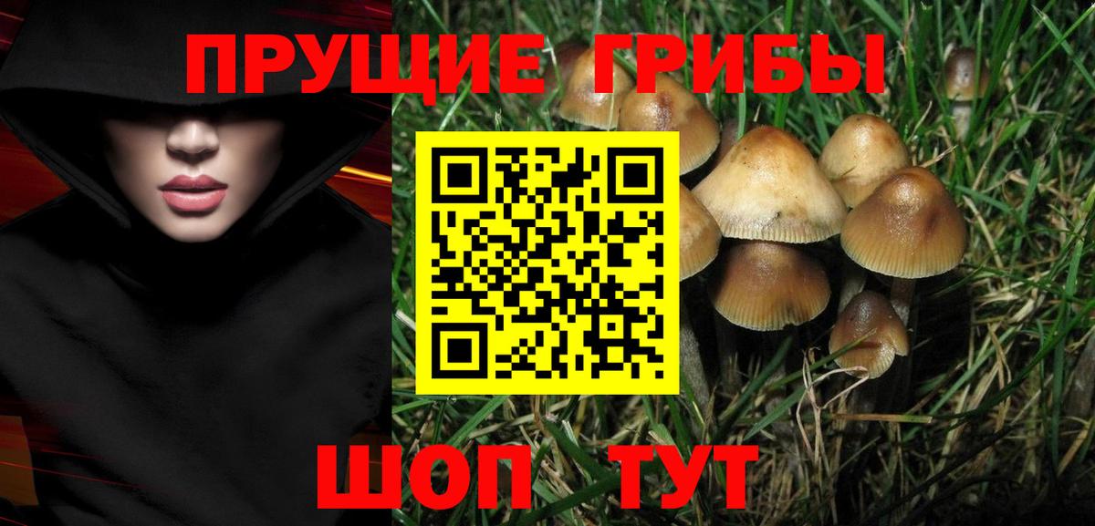 Воронеж  Галлюциногенные грибы мухоморы  Вход с VPN  Псилоцибиновые грибы ЛСД 